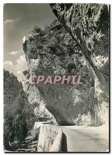 Cartes postales moderne Les Gorges du Tarn Pres du Cirque des Baumes L'Encorbeillement