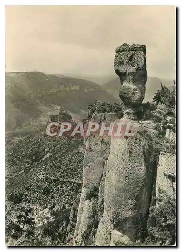 Cartes postales moderne Gorges de la Jonte Lozere Sur la Corniche du Causse Mejean La Vase de Sevres dominant la vallee