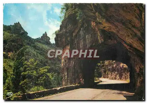 Cartes postales moderne En Parcourant les Gorges du Tarn Un des curieux aspects de la route du Rozier aux Vignes