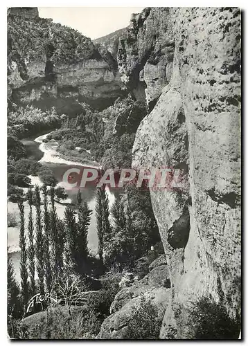 Cartes postales moderne Les Gorges du Tarn Le Cirque des Baumes