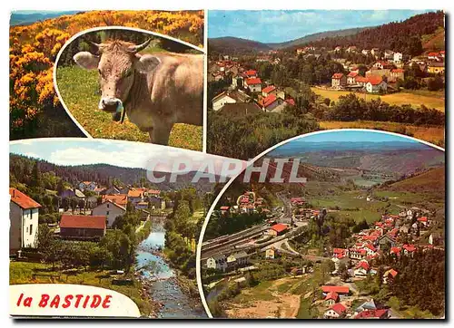 Cartes postales moderne La Bastide Lozere