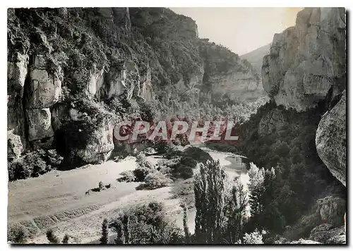 Cartes postales moderne Le Languedoc Gorges du Tarn Lozere Sorties du Cirque des Baumes
