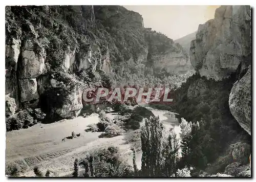 Moderne Karte Le Languedoc Gorges du Tarn Lozere Sorties du Cirque des Baumes