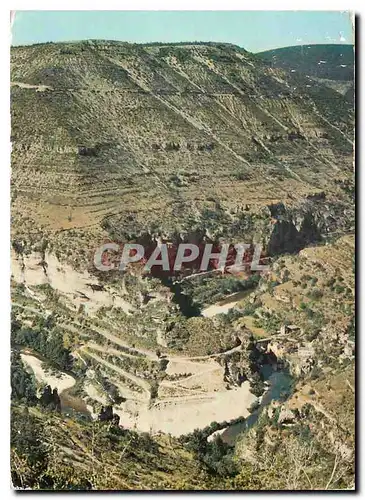 Cartes postales moderne En Parcourant les Gorges du Tarn Le Tarn dans un de ses meandres a St Chely