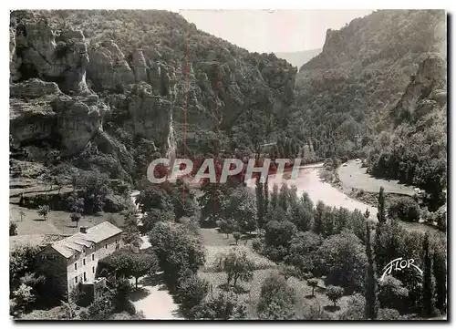 Cartes postales moderne Les Gorges du Tarn Le Cirque des Baumes