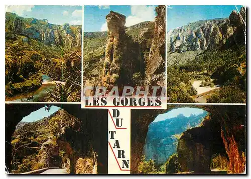 Cartes postales moderne Les Gorges du Tarn Souvenir d'une agreable promenade