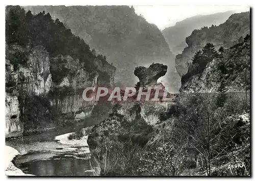 Cartes postales moderne Les Gorges du Tarn Le Champignon