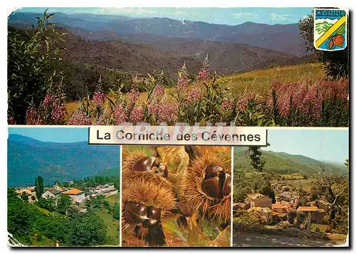 Cartes postales moderne La Corniche des Cevennes Gard Lozere Vue panoramique Le Pompidou Chataignes St Roman de Tousque
