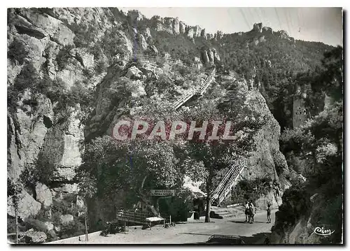 Cartes postales moderne Gorges du Tarn Lozere Belvedere du Pas de Soucy