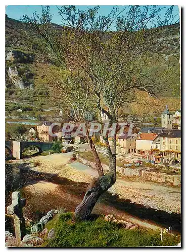 Cartes postales moderne Couleurs et Lumiere de France Les Gorges du Tarn Lozere Sainte Enimie Vue generale