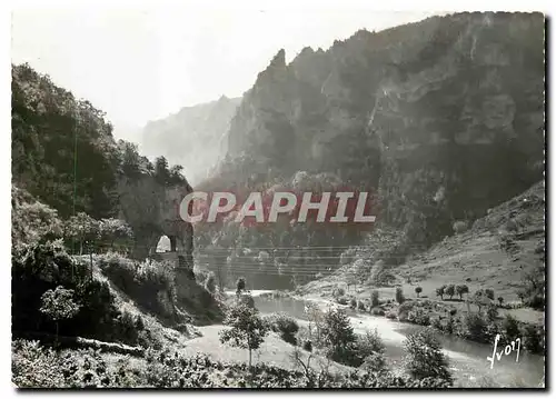 Cartes postales moderne Gorges du Tarn Environs de La Malene Lozere Le Tarn et le Tunnel de la Croze