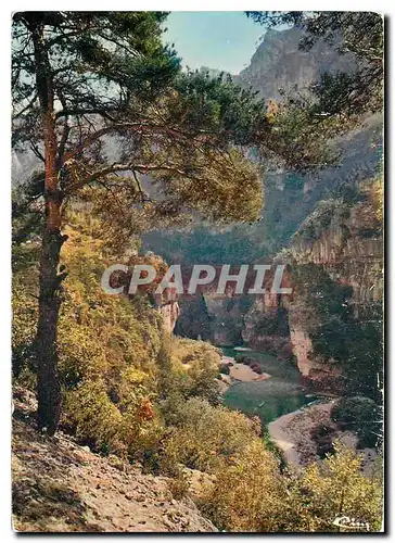 Cartes postales moderne Les beaux sites de la Lozere Les Gorges du Tarn Lozere Les Detroits