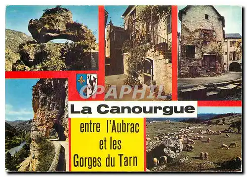 Moderne Karte La Canourgue Lozere Le Sabot Vieille rue Le vieux quartier du canton Les Tunnels Paturages sur l