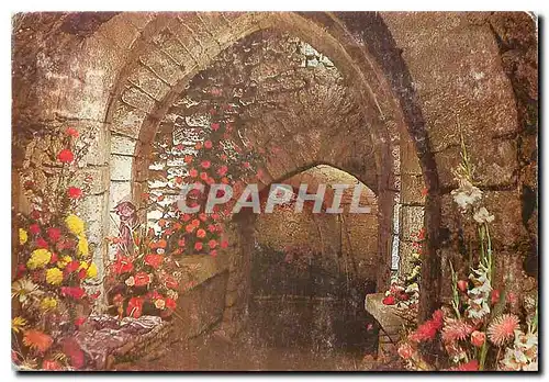 Cartes postales moderne Martigne Briand Festival Floral Un heureux Mariage Fleurs & Vieilles pierres