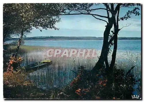 Cartes postales moderne Etang dans la Lande