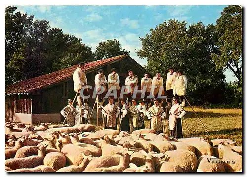 Cartes postales moderne Visage des Landes Groupe Folklorique Lous Pastous Seignossais