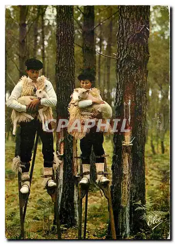 Cartes postales moderne La Lande Groupe Landais Lous Cadetouns Dans la Foret Landaise les celebres Echassiers avec leurs