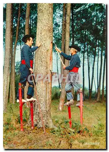 Cartes postales moderne Dans la Foret de Pins Les Resiniers