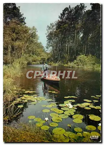 Cartes postales moderne Courant des Landes