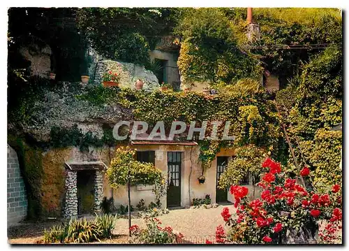 Cartes postales moderne Au Pays de Loire Pittoresque Troglodytes Habitations dans le rocher