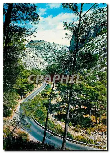 Cartes postales moderne Lumiere et Beaute de la Cote d'Azur Ollioules Les Gorges d'Ollioules que domine le chateau d'Eve