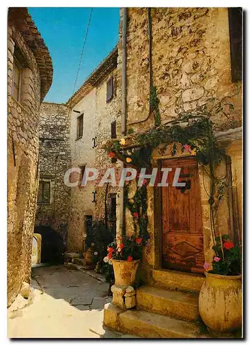 Cartes postales moderne Cote d'Azur Tourrettes sur Loup Alpes Maritimes Cite des violettes Vieille rue pittoresque