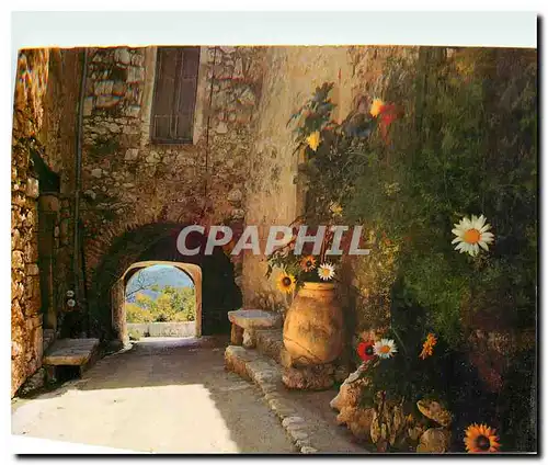 Cartes postales moderne Cote d'Azur Tourrettes sur Loup Alpes Maritimes Cite des violettes Vieille rue pittoresque