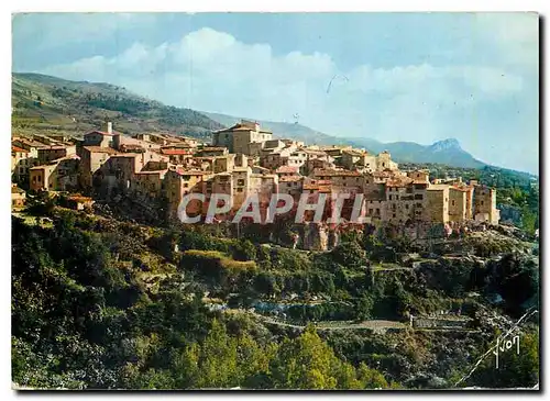 Cartes postales moderne Couleurs et Lumiere de France La Cote d'Azur miracle de la nature Tourrettes sur Loup A M Curieu