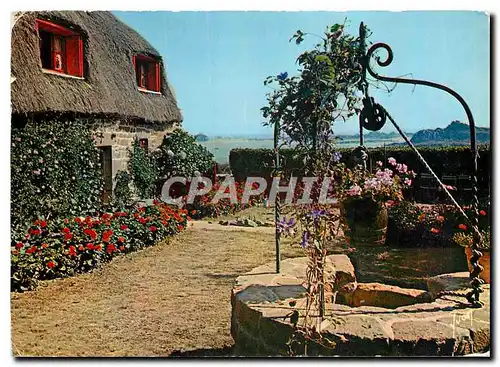 Cartes postales moderne Couleurs et Lumiere de France La Bretagne Ile de Brehat Cotes du Nord Margelle et Chaumiere fleu