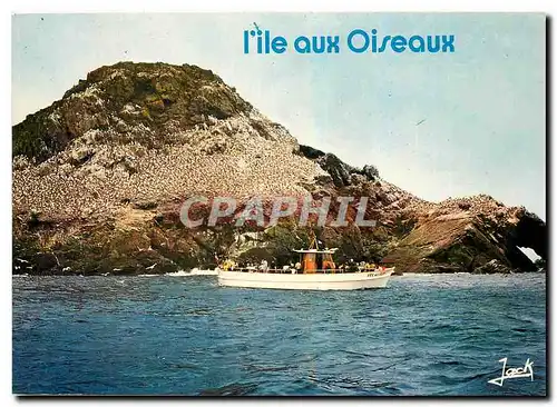 Cartes postales moderne Couleurs de Bretagne La Cote de Granit Rose Vedette en visite a l'ile Rouzic ou nichent des mill