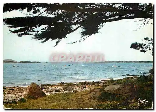 Moderne Karte La Bretagne L'Ile Grande C du N Le port de plaisance a gauche L'Ile Milliau a droite L'Ile Molen