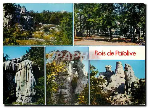 Cartes postales moderne Bois de Paiolive Ardeche