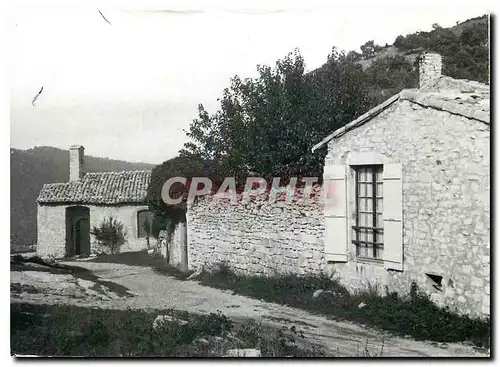 Cartes postales moderne Maison des Pins