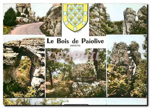 Cartes postales moderne Le Bois de Paiolive Ardeche