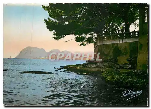 Cartes postales moderne La Ciotat La Corniche