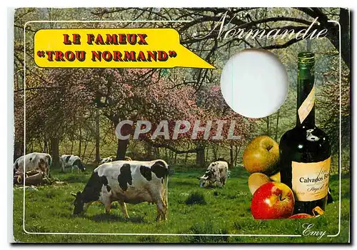 Cartes postales moderne Le Trou Normand Vache Calvados