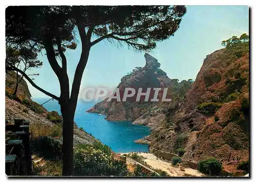 Moderne Karte Cote d'Azur La Ciotat B du R Calanque de Figuerolles et le Rocher du Capucin