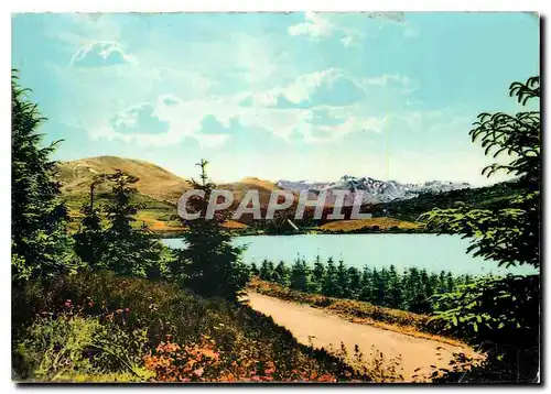 Cartes postales moderne Auvergne pittoresque et touristique Le Lac Guery au fond le Massif du Sancy