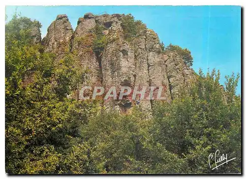 Cartes postales moderne Les Orgues de Bort Correze Roches basaltiques