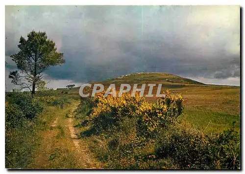 Moderne Karte Les Monts d'Arree Printemps sur le Mont Saint Michel de Brasparts