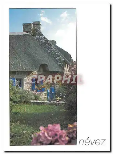 Cartes postales moderne Couleurs de Bretagne Nevez Finistere