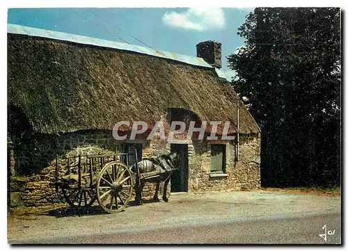 Cartes postales moderne La Bretagne en Couleurs Chaumiere de Bretagne Retour des Champs