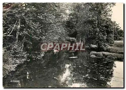 Cartes postales moderne Brionne Eure Bords de la Risle