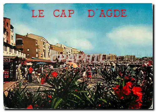 Moderne Karte Littoral languedocien Le Cap d'Agde Le Port