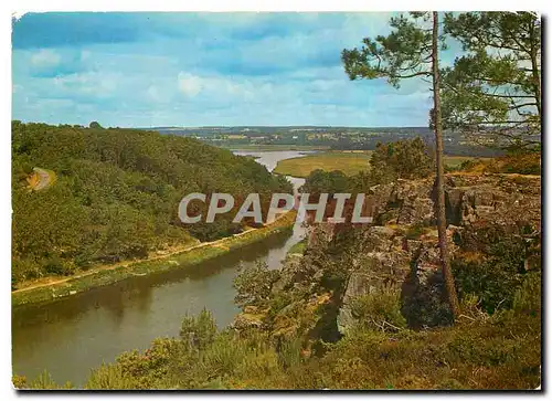 Cartes postales moderne Environs de Redon Ille et Vilaine L'Ile aux Pies