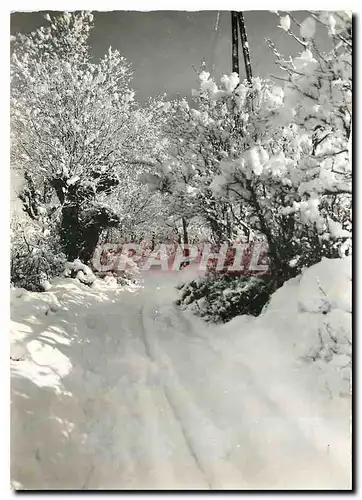Cartes postales moderne Sous la Neige Allos Basses Alpes Route du Lac en Hiver