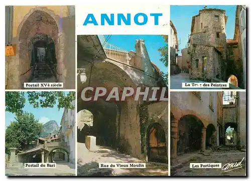 Cartes postales moderne Annot Patron du Village St Fortunat