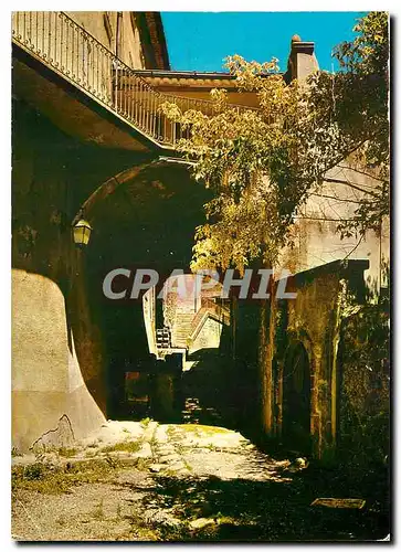 Cartes postales moderne Annot B A Rue de moulin