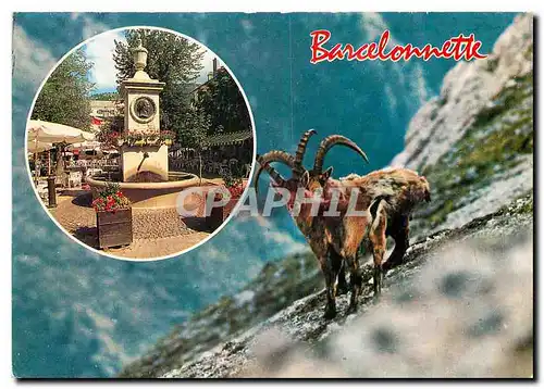 Cartes postales moderne Barcelonnette Alpes de Haute Provence Centre touristique de la vallee de l'Ubaye
