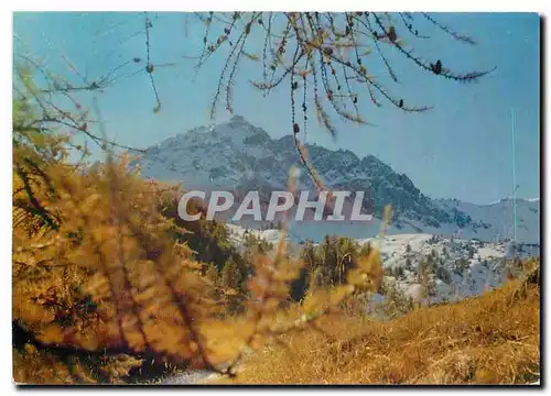 Cartes postales moderne Vallee de l'Aube Alp de Hte Prov Super Sauze Le Brec